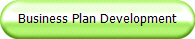 Business Plan Development